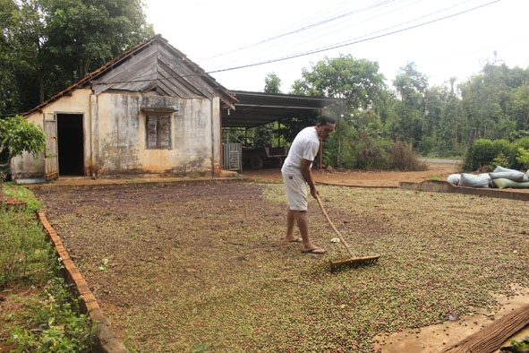 Ông Y Gruin Byă (buôn Kiết A, xã Ea Bhốk) an tâm phát triển kinh tế từ số tiền người con trai đi lao động  ở Nhật Bản gửi về. 