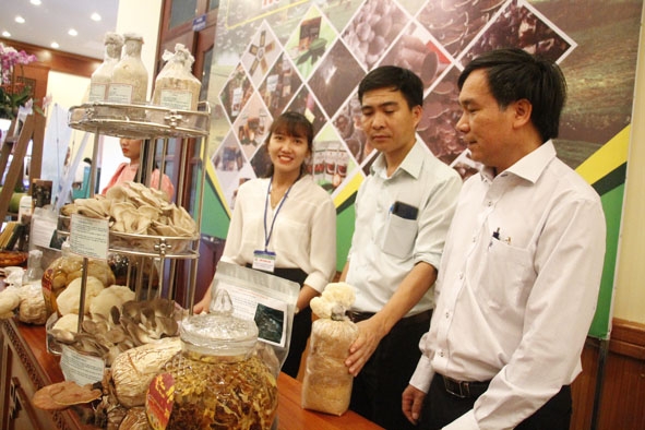 Sản phẩm nấm Krông Ana trưng bày tại Hội nghị tổng kết 10 năm xây dựng nông thôn mới. 
