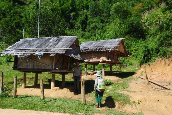 Nhà kho  chứa thóc làm từ  cây lồ ô  của người  Xê Đăng. 