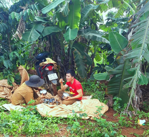 Những người hái thuê cà phê tranh thủ ăn trưa tại rẫy.