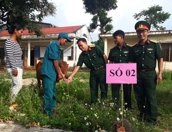 Ban CHQS huyện Lắk tặng bò sinh sản cho hộ nghèo. 