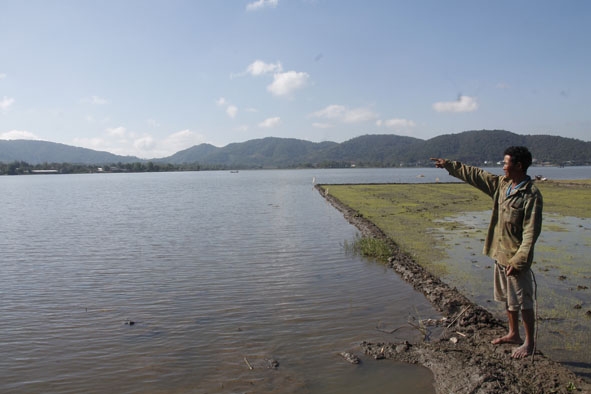 Cánh đồng buôn Drung (xã Yang Tao, huyện Lắk) bị ngập giữa mùa khô. 
