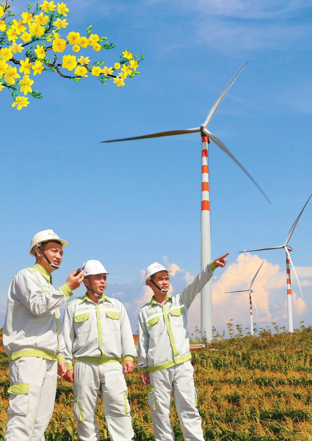 Công trình điện gió tại huyện Ea H'leo. Ảnh: Hoàng Gia