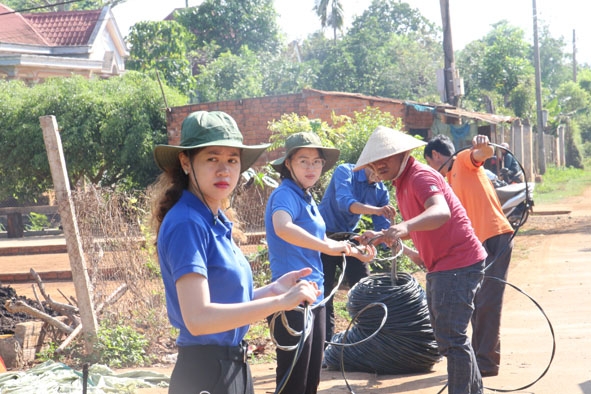 ĐVTN Đoàn cơ sở Tỉnh Đoàn và Đoàn cơ sở Công ty Điện lực Đắk Lắk thi công công trình 