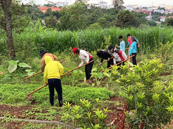 Các em ở nhà lưu trú tham gia chăm sóc vườn rau.