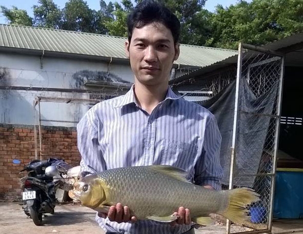 Cá Mõm trâu do người dân bắt được trên sông Sêrêpốk (Ảnh do nhóm thực hiện đề tài cung cấp)