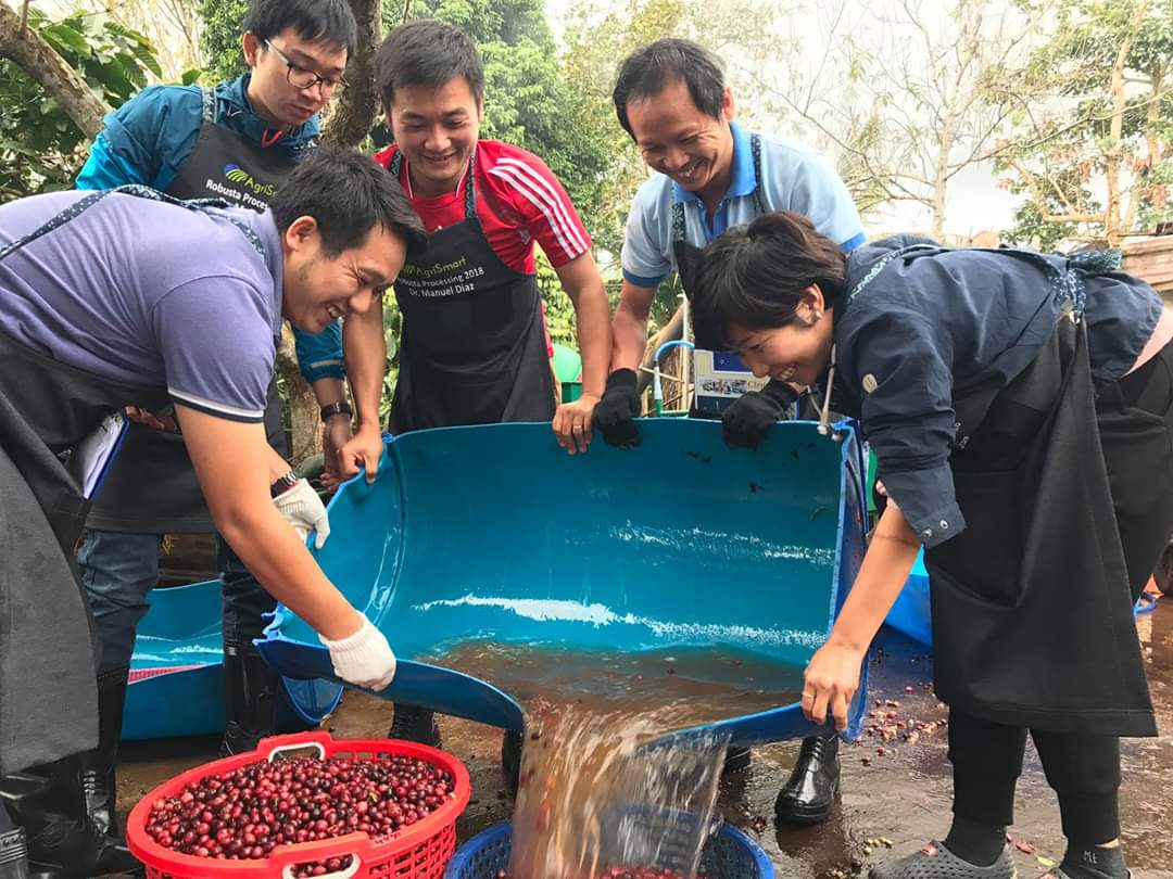 Học viên  thực hành loại bỏ  tạp chất và phân loại  cà phê. 