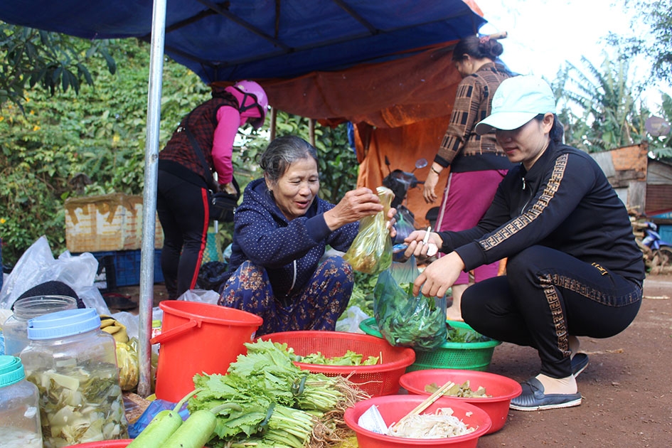 Hàng rau sạch của bà Phan Thị Phượng.