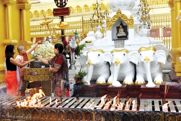 Tượng voi trắng ở Chùa Vàng, thành phố Yangon. 