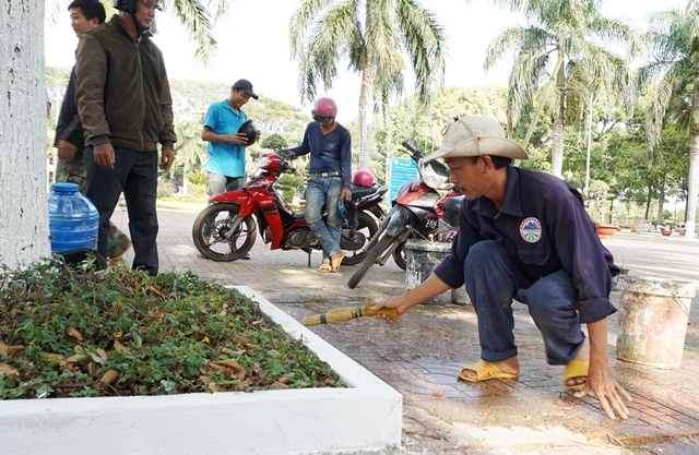 Những gốc cây, bồn hoa, cây cảnh cũng được sơn lại sạch sẽ.