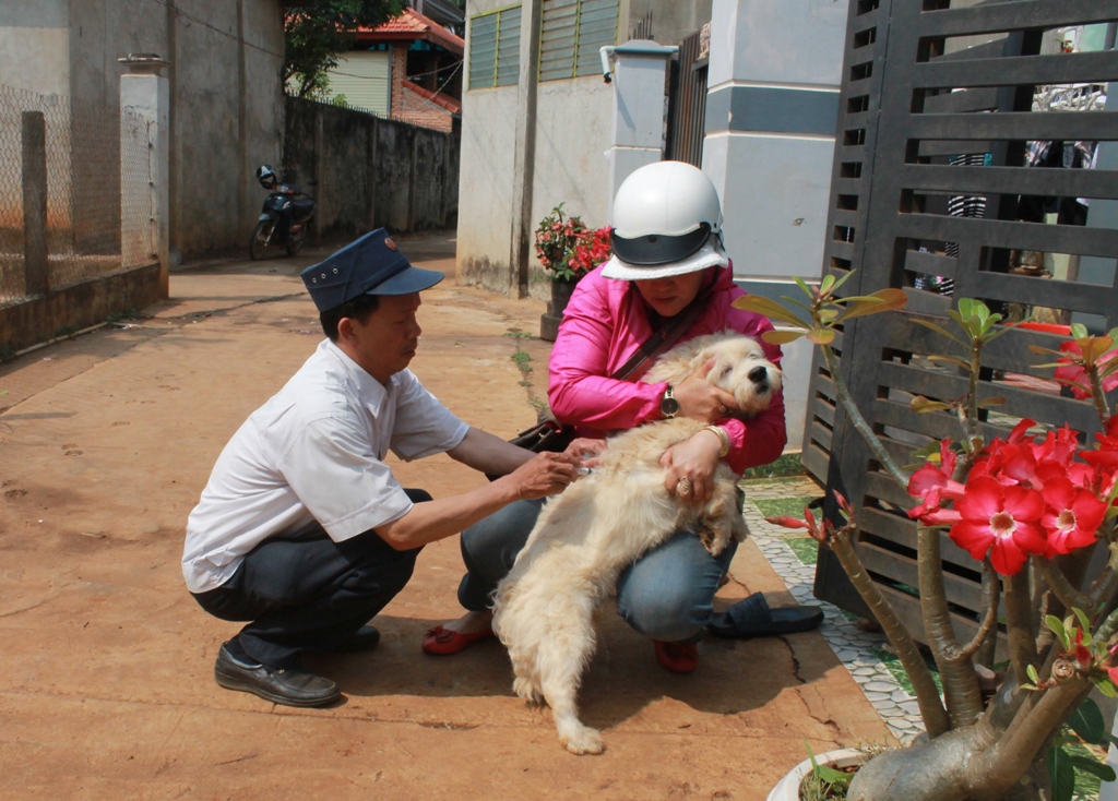 Tiêm phòng dại cho chó là một trong những biện pháp hữu hiệu để phòng chống bệnh dại. (Ảnh minh họa)