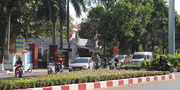 Hoa  trên dải phân cách đường Lê Duẩn đã được trồng  thay thế trước thềm Xuân mới.