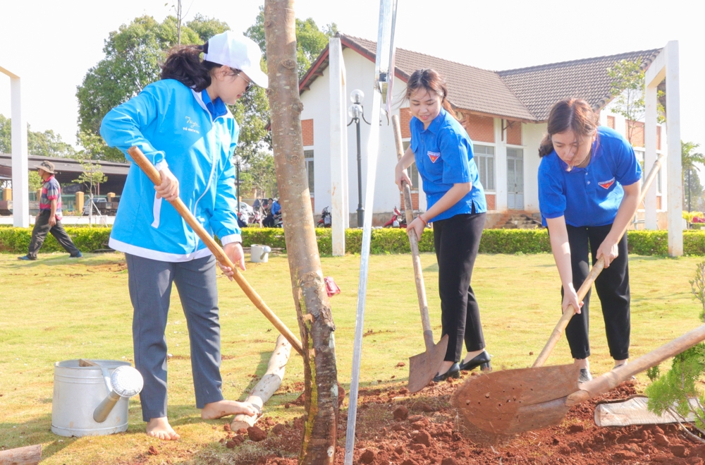 Đoàn viên thanh niên hưởng ứng phong trào trồng cây, trồng rừng. Ảnh: Hoàng Gia