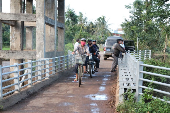 Ban chỉ đạo mô hình và các tổ 