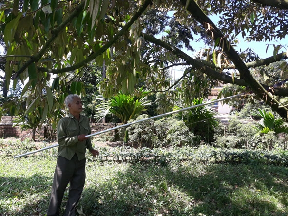Cựu chiến binh Trần Đình Nguyên.