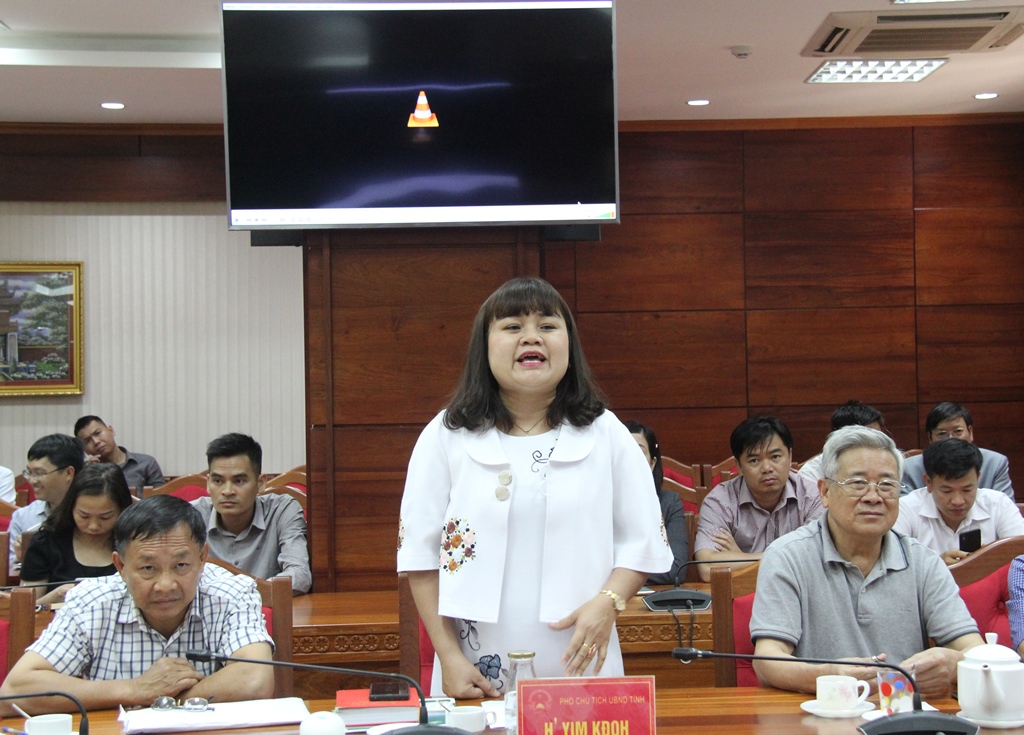Phó Chủ tịch UBND tỉnh H’Yim Kđoh phát biểu tại buổi làm việc