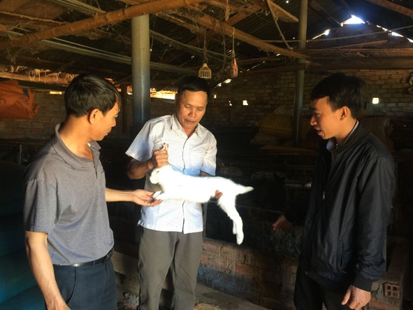        Ông Quý (bên trái) chia sẻ  kinh nghiệm  nuôi thỏ  với khách tham quan. 