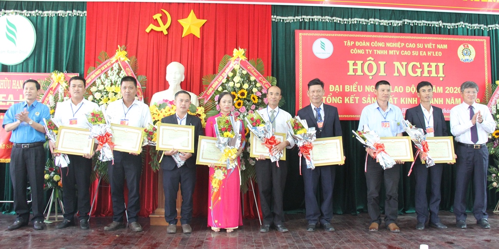 Các tập thể xuất sắc thuộc Công ty TNHH MTV Cao su Ea H’leo nhận Bằng khen của Tập đoàn Công nghiệp Cao su Việt Nam