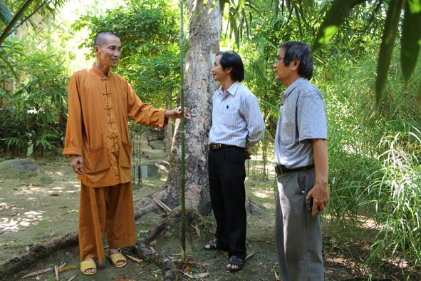 Thầy Tường giới thiệu với khách thập phương về các loài tre, trúc trong vườn.