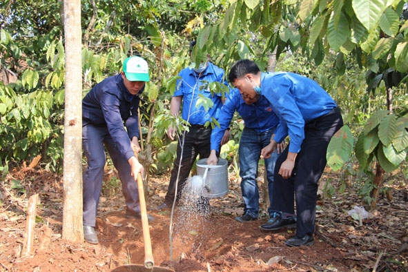 Đoàn viên thanh niên  trồng cây xanh tại xã Cư Huê, huyện Ea Kar.