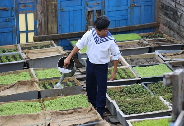 Chiến sĩ trẻ  đảo Phan Vinh B tăng gia sản xuất. 