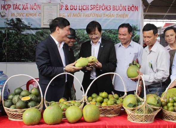 Bí thư Tỉnh ủy Bùi Văn Cường thăm gian hàng của HTX Nông nghiệp - Du lịch Sêrêpôk 3 tại Hội chợ Nông nghiệp và sản phẩm OCOP khu vực Tây Nguyên năm 2019.