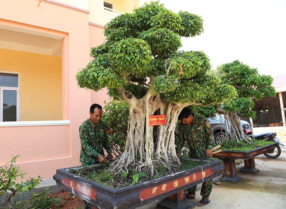 Cán bộ Ban CHQS huyện Lắk cắt tỉa cây cảnh. 