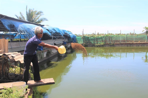 Mô hình vườn ao chuồng mang lại thu nhập ổn định cho gia đình thương binh Lê Đức Thái (thôn 12, xã Ea Kmút). 