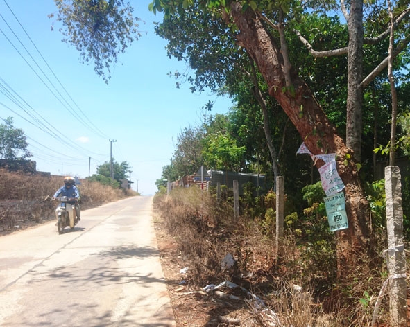 Nhiều khu đất tại đường Phùng Hưng, TP. Buôn Ma Thuột đang được rao bán.   