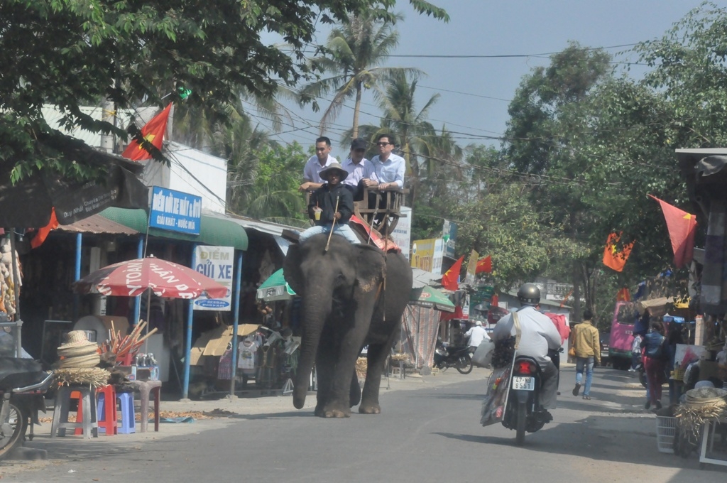 Khu du lịch...