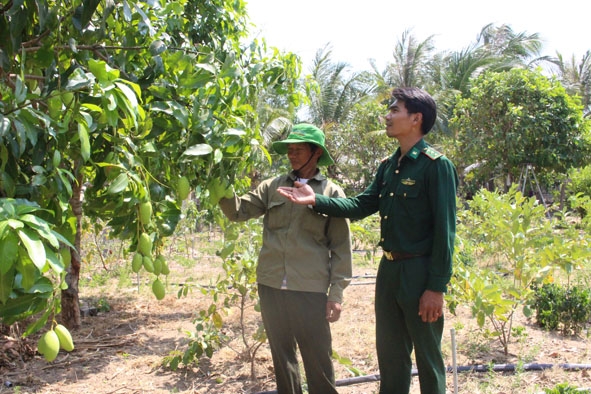 Cán bộ Đồn Biên phòng Ia R'vê thăm vườn cây trái của gia đình ông Nguyễn Văn Minh. 