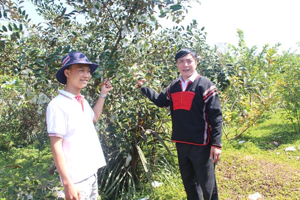 Ủy viên Trung ương Đảng, Bí thư Tỉnh ủy Bùi Văn Cường tham quan trang trại cây ăn trái của anh Nguyễn Đức Thành, thôn Hiệp Hòa, xã Quảng Hiệp, huyện Cư M’gar. 