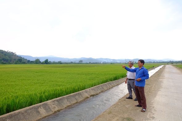 Cánh đồng lúa buôn Chiêng Kao (xã Đắk Phơi) góp phần  mang đến cuộc sống ấm no cho người dân vùng căn cứ.  