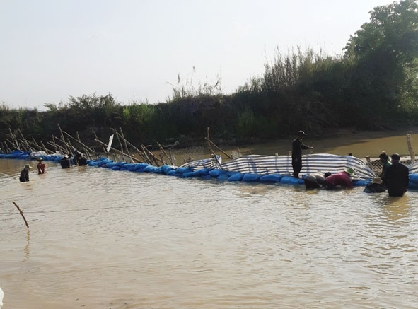 HTX Thăng Bình 1 tổ chức đắp kè ngăn dòng Krông Ana để bơm nước cứu lúa.