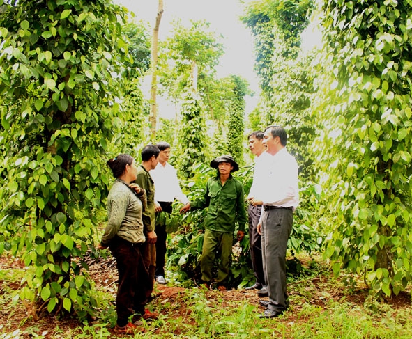 Bí thư Huyện ủy Cư Kuin Lê Thái Dũng (ngoài cùng bên phải) động viên người dân trên địa bàn tích cực lao động, sản xuất, phát triển kinh tế gia đình. 