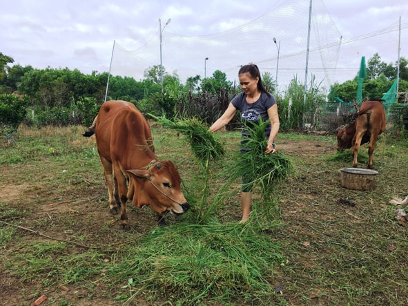 Chị Nguyễn Thị Thái chăm lo phát triển kinh tế gia đình. 