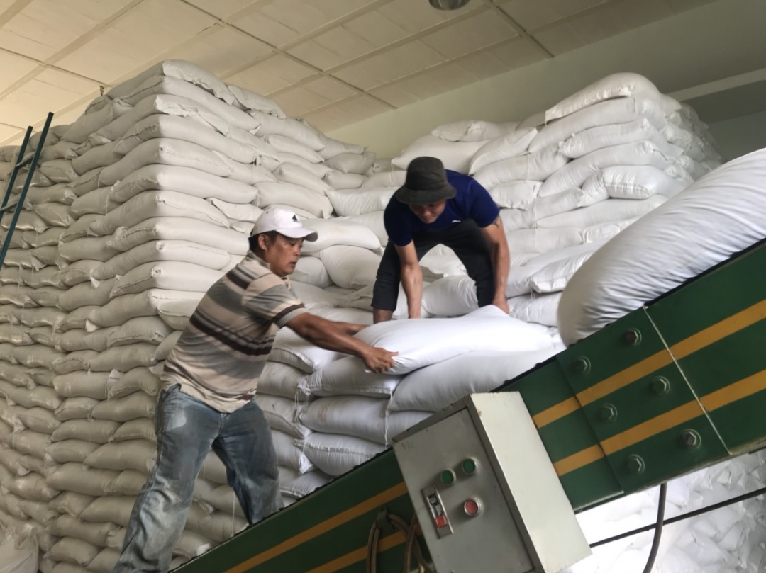 Bốc xếp gạo chở về các địa phương.