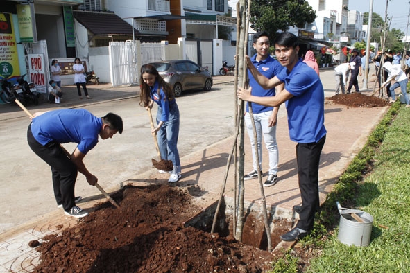 Đoàn viên thanh niên trồng cây xanh để bảo vệ môi trường trên địa bàn TP. Buôn Ma Thuột. 
