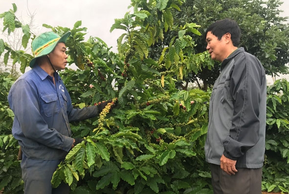 Cà phê là một trong những sản phẩm nằm trong 