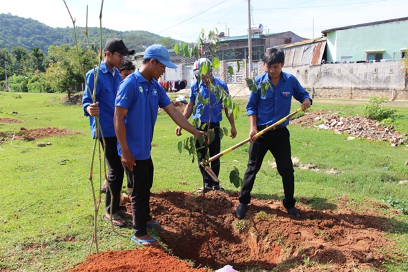 Đoàn viên thanh niên huyện Lắk trồng cây xanh bảo vệ môi trường.