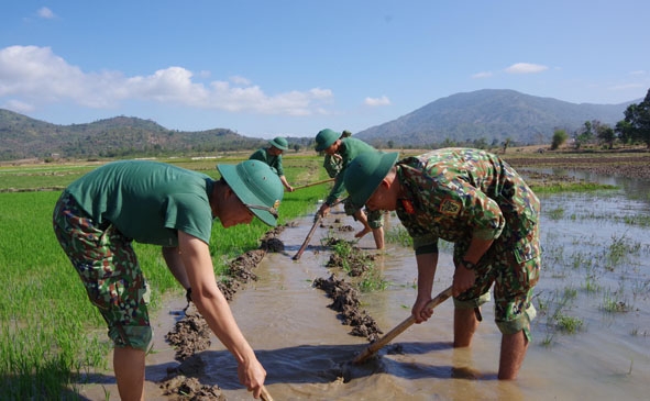 Cán bộ, chiến sĩ lực lượng vũ trang tỉnh giúp dân tăng gia sản xuất.    Ảnh: Quỳnh Anh