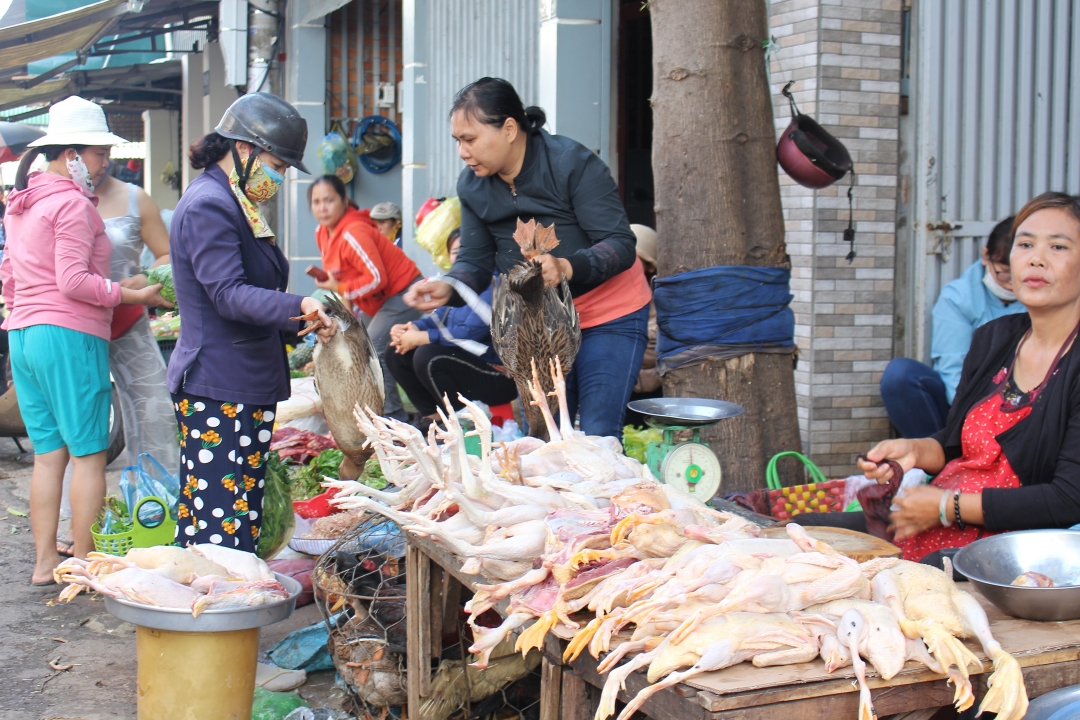 Thịt vịt là món ăn có tính hàn (mát), rất hợp để thưởng thức vào ngày Tết giữa năm lúc trời nắng nóng gay gắt. Ngoài công dụng giải nhiệt, nhiều người còn quan niệm ăn thịt vịt cũng là để giải độc trong người. Vịt làm sẵn tại các chợ có giá dao động từ 120 – 150 nghìn đồng/con.