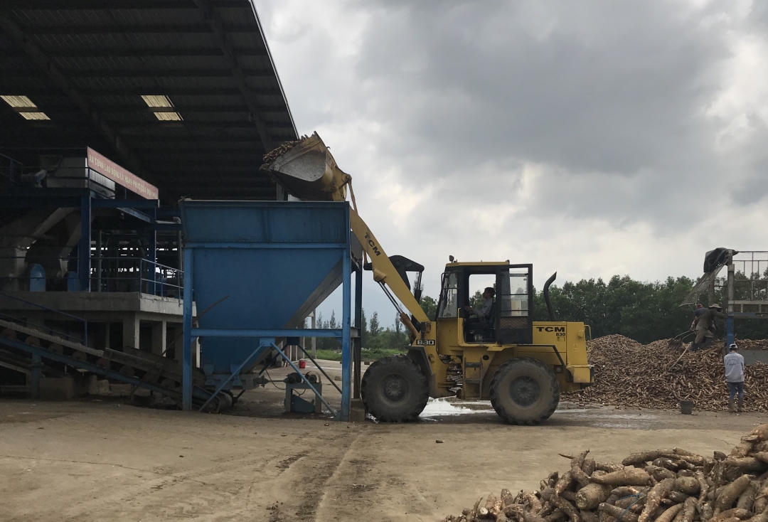 Nhập nguyên liệu sản xuất tại Công ty TNHH Thương mại Khánh Dương Đắk Lắk