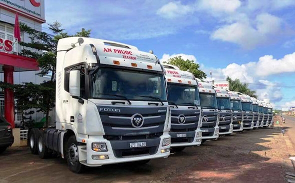 Công ty TNHH vận tải ô tô An Phước đang ổn định lại tình hình kinh doanh sau dịch Covid-19.