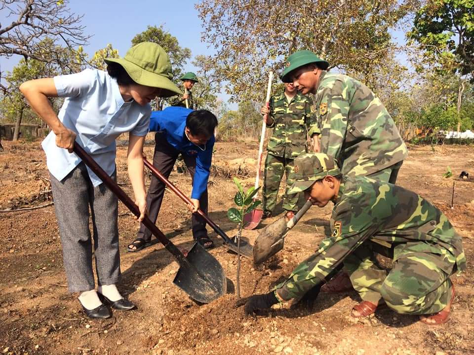 Đoàn viên thanh niên xã Ia Rvê trồng cây  nhân dịp sinh nhật Bác. Ảnh: C.Xin