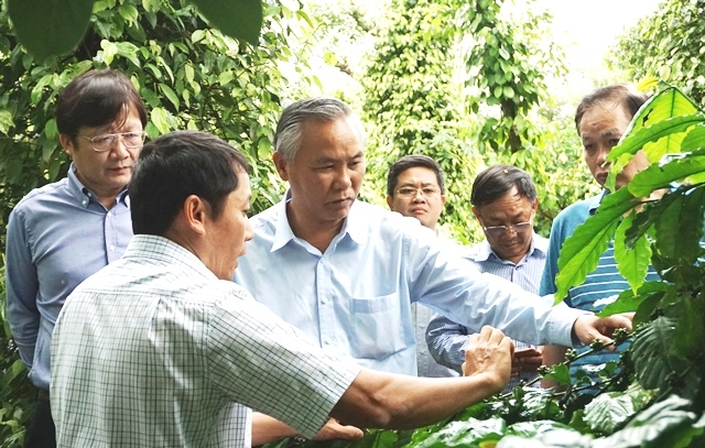 Thứ trưởng Bộ Nông nghiệp và Phát triển nông thôn Phùng Đức Tiến (thứ ba từ trái sang) thăm mô hình chuỗi giá trị cà phê của Công ty TNHH Minudo Farm – Care (xã Ea Kao, TP. Buôn Ma Thuột). 