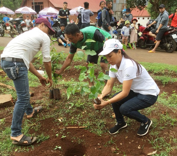  Hoạt động trồng cây xanh đồng hành cùng  bảo vệ  môi trường của HTX Nông nghiệp  Dịch vụ Công bằng Ea Tu  (TP. Buôn Ma Thuột). 