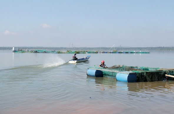 Nghề nuôi thủy sản tại khu vực hồ thủy điện Sêrêpốk 3.