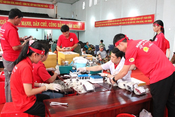 Các tình nguyện viên của Chương trình Hành trình đỏ năm 2020 phân loại, bảo quản nguồn máu tiếp nhận được. 