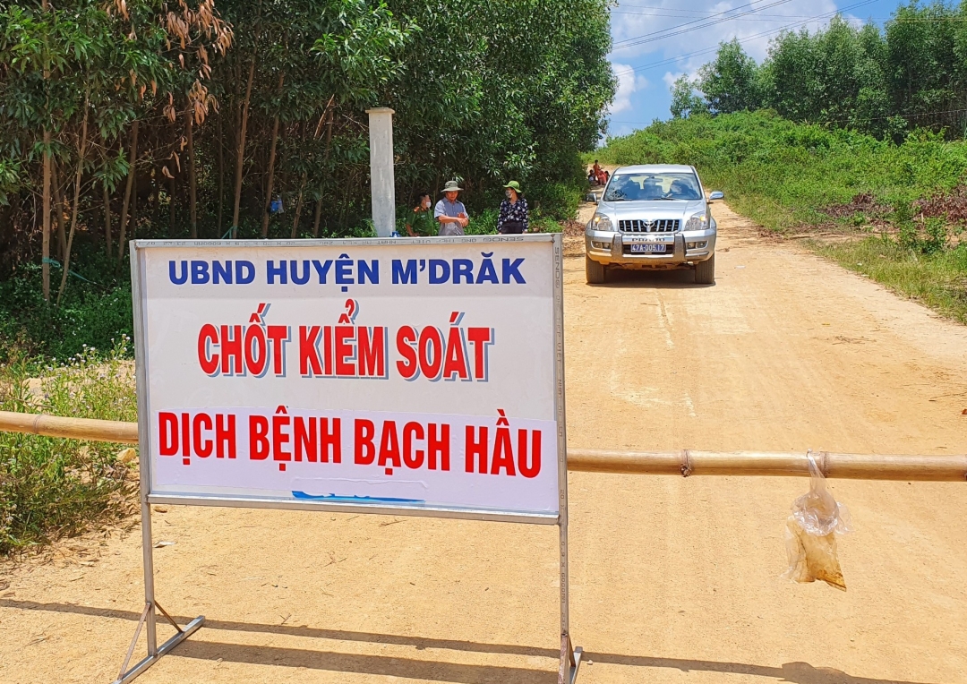 Chính quyền địa phương lập chốt cách ly khu vực thôn 7 xã Cư Króa nhằm ngăn chặn bệnh lây lan rộng.